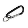 Keyring, carabiner