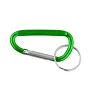 Keyring, carabiner