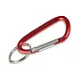 Keyring, carabiner