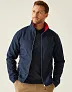 Ascender 2-Layer Softshell Jacket - Regatta Professional