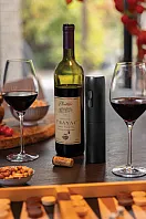 punjivi električni otvarač za vino