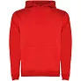 Urban kids hoodie - Roly