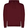 Urban men's hoodie - Roly