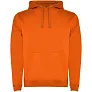 Urban men's hoodie - Roly