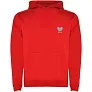 Urban kids hoodie - Roly
