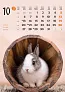  "ŽIVOTINJE" color kalendar