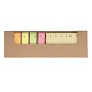 MEMO RULER set of sticky notes