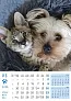  "PSI i MAČKE" color calendar