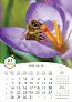  "PČELE" color kalendar