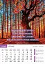  "MOTIVACIJSKI KALENDAR" color calendar