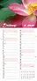  "CVJETNI PLANER" 13 list., dim: 22x55cm,  PVC vrećica, P/50, color kalendar