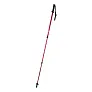Pulpit nordic walking sticks
