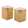 Kerala salt and pepper shaker set