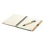 Salix notes A5