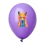 CreaBalloon Pastel balloon, pastel colour