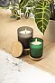 Daizu XL candle, vanilla