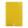 Repuk Soft A5 RPU notes