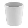 Angulus mug
