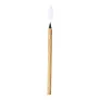 Tivoid inkless pen