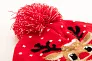 Morkved Christmas winter hat