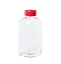 Tesso glass sport bottle