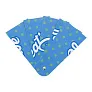 Folbreeze custom hand fan