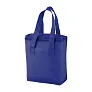 Fridrate cooler bag