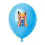 CreaBalloon Pastel balloon, pastel colour