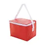 Ortit cooler bag