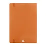 Repuk Soft A5 RPU notes