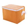 Ortit cooler bag