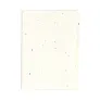 Semilla seed paper sticky notepad
