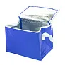 Ortit cooler bag