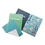 Dioptry Mail postcard glasses cloth