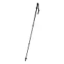 Pulpit nordic walking sticks
