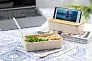 Laksa lunch box