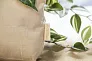 Bloom cosmetic bag