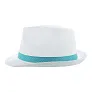 Subrero sublimation band for straw hats