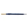 Asperit umbrella