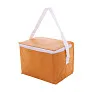 Ortit cooler bag