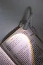 Bedtime rechargeable book light