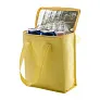 Fridrate cooler bag