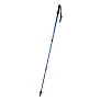 Pulpit nordic walking sticks