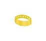 Eventify wristband