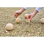  Skill game