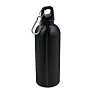 Brenda Sports bottle 500 ml with carabiner clip