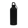 Brenda Sports bottle 500 ml with carabiner clip