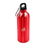 Brenda Sports bottle 500 ml with carabiner clip
