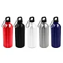 Brenda Sports bottle 500 ml with carabiner clip