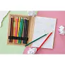 Paddy Coloured pencil set, notebook